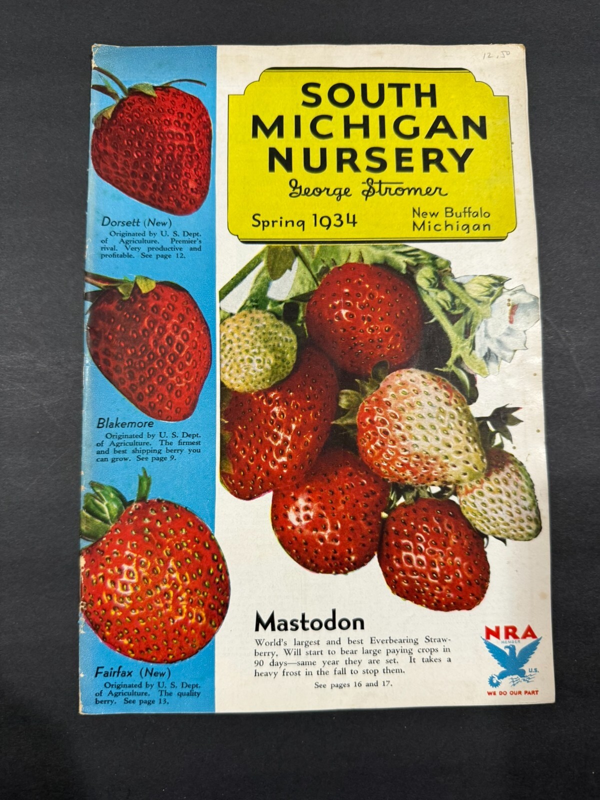 1934-39 Townsend’s & South Michigan Fruit, Flowers, Seed Brochures…..2 Items