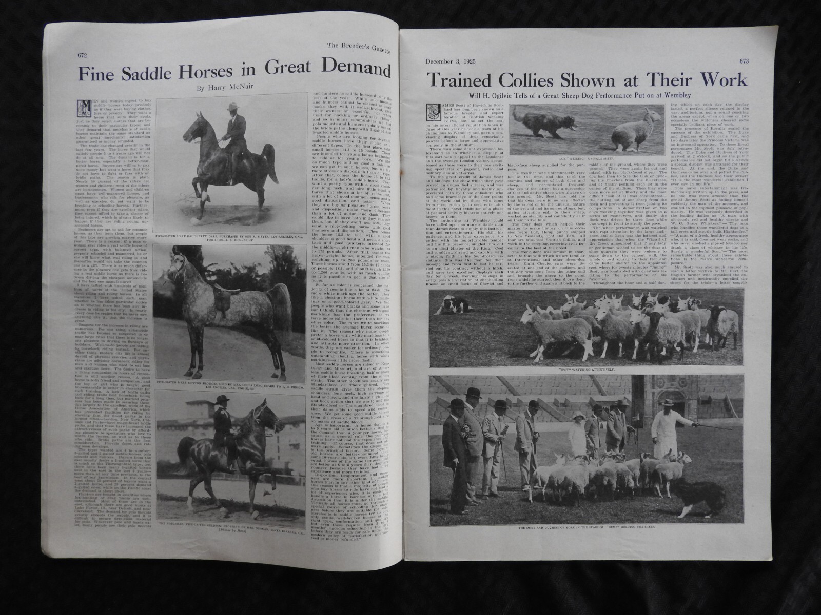 1925 Breeder’s Gazette Magazine – cattle rancher farmer horse show VERY GOOD