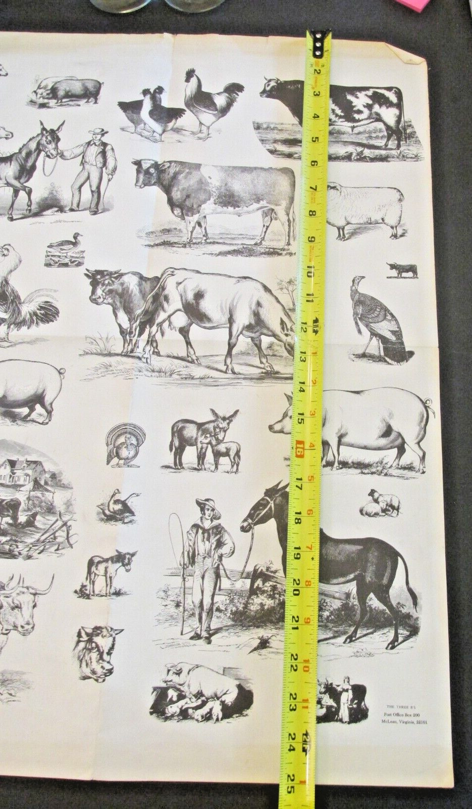 VTG The Three B’s Farm Animals Poster Rooster Donkey Horse Pigs Homestead 19×25
