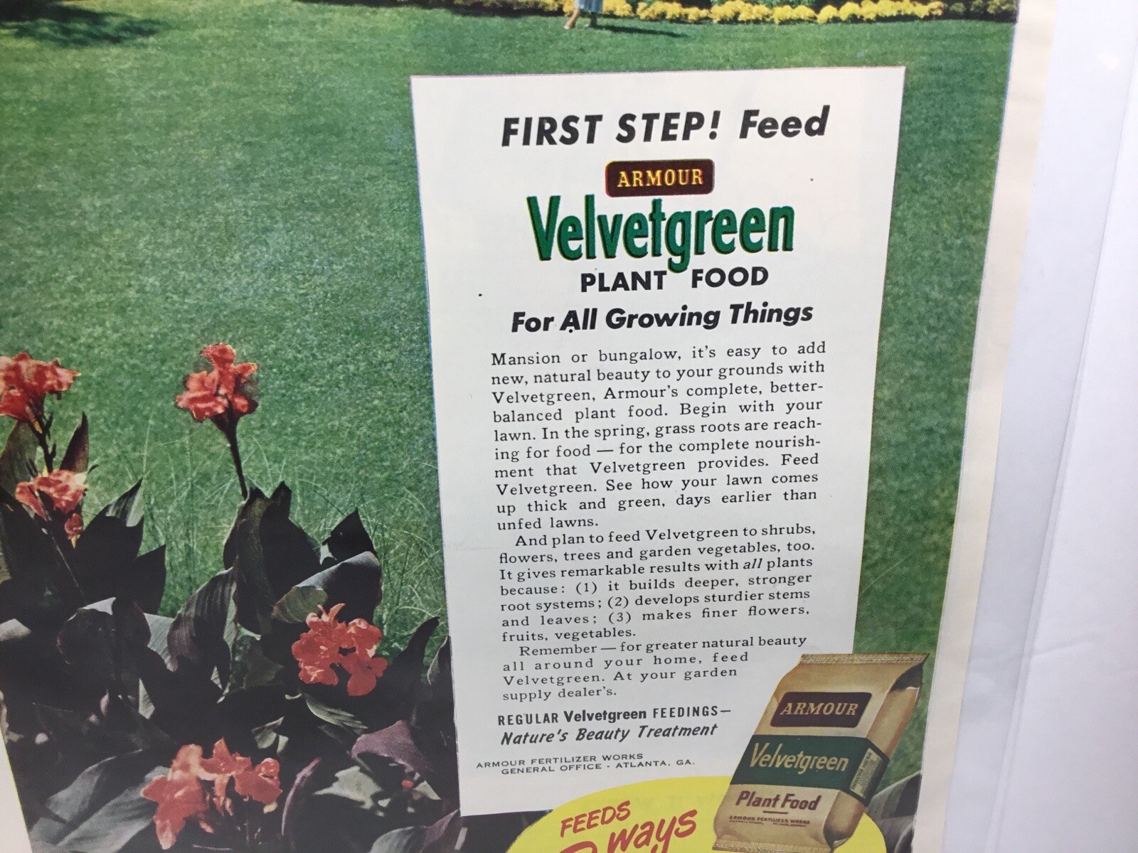 1949 Armour Velvetgreen Plant Food, Nature’s Beauty Treatment. Original Print Ad