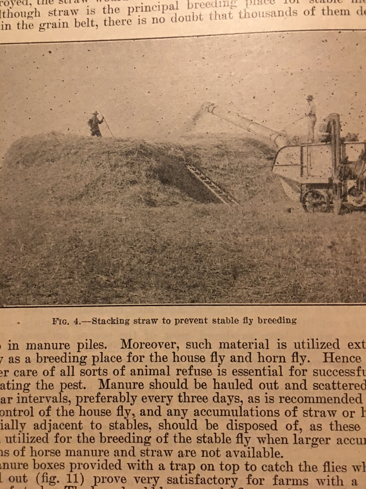 Farmers Bulletin US Dept of Agriculture No 1097 The Stable Fly 1926 prevention