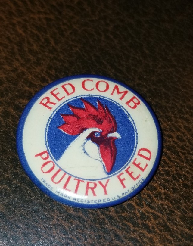 c.1910 RED COMB POULTRY FEED blue border 1 1/8″ celluloid pinback button farm *