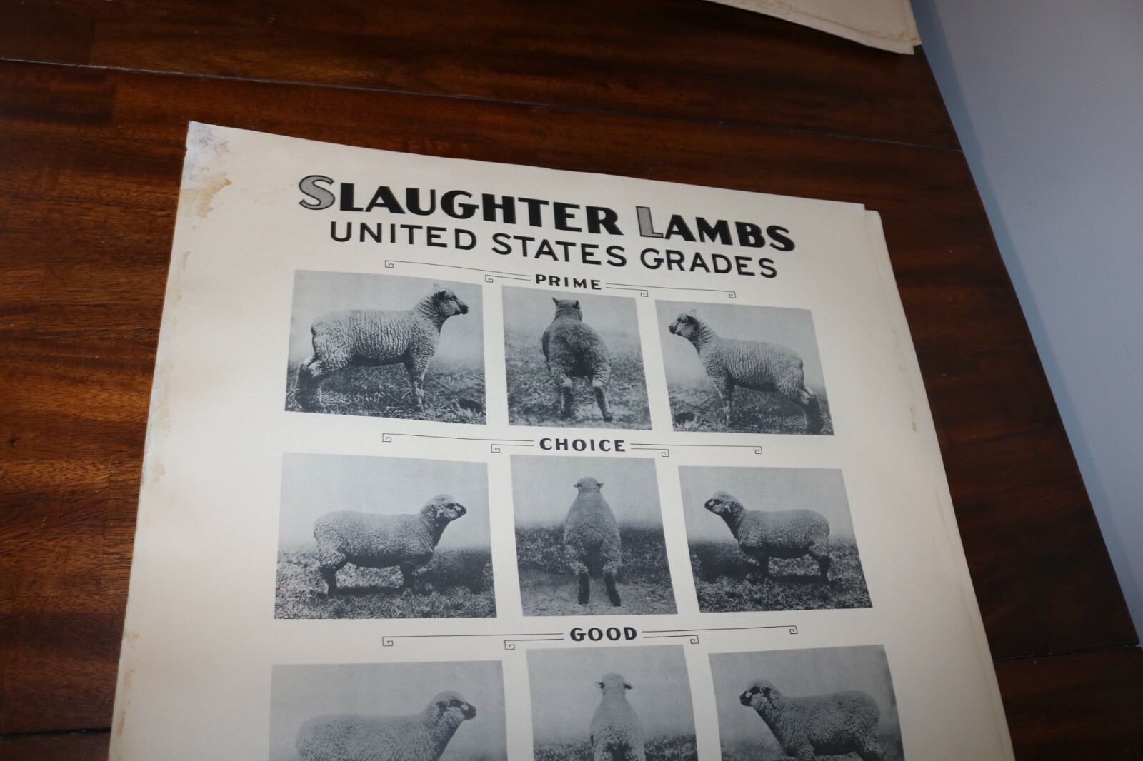 RARE new old stock orig. 1936 Large USDA Lamb slaughter grade poster chart sign
