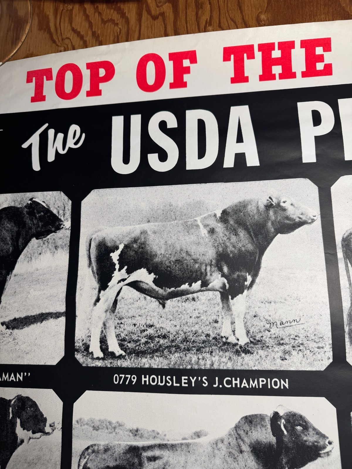 1970 TOP of the Lists The USDA Proofs ABS American Breeders Service Ad Poster
