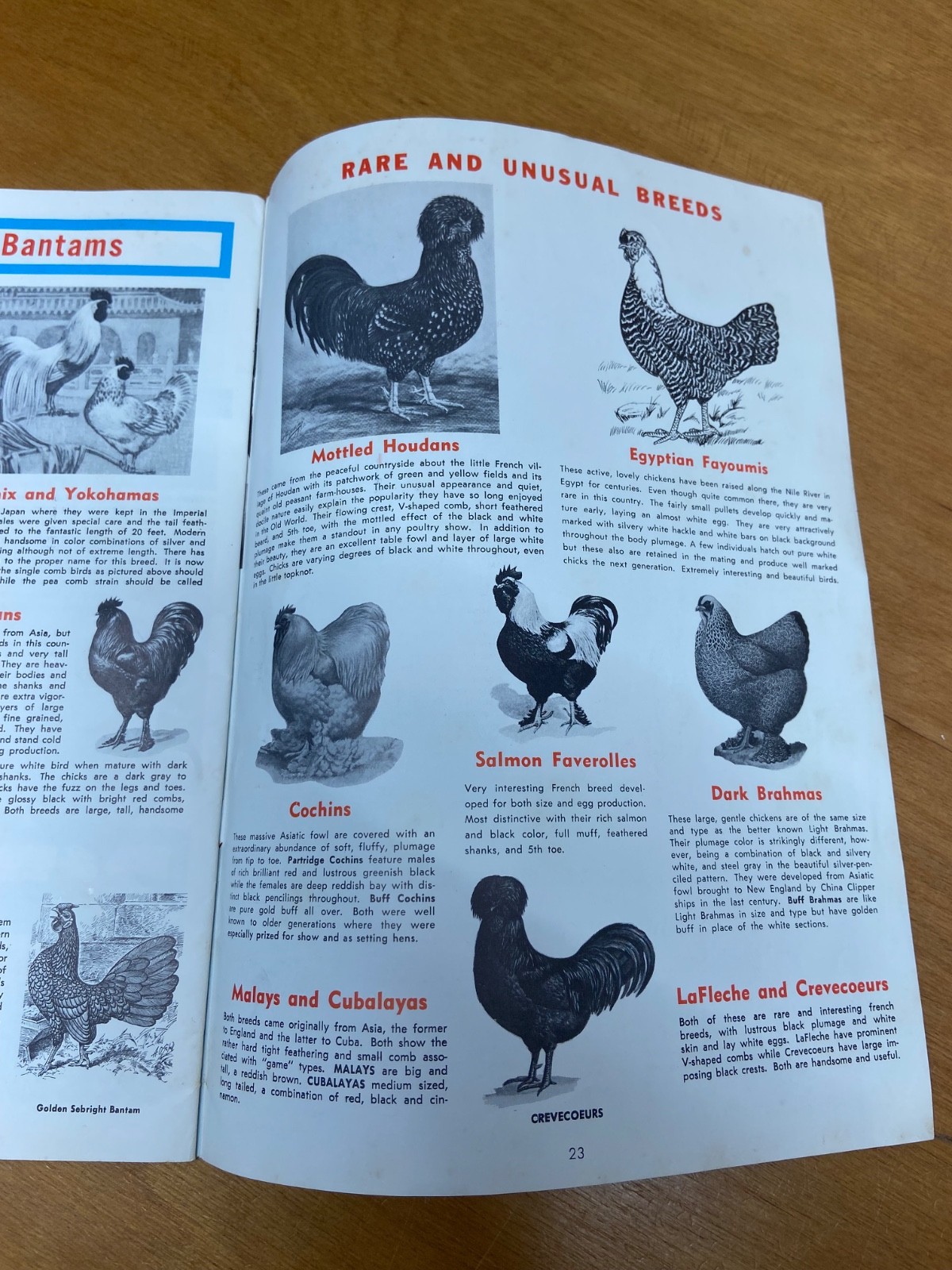 Murray McMurray Hatchery Catalog 1970’s