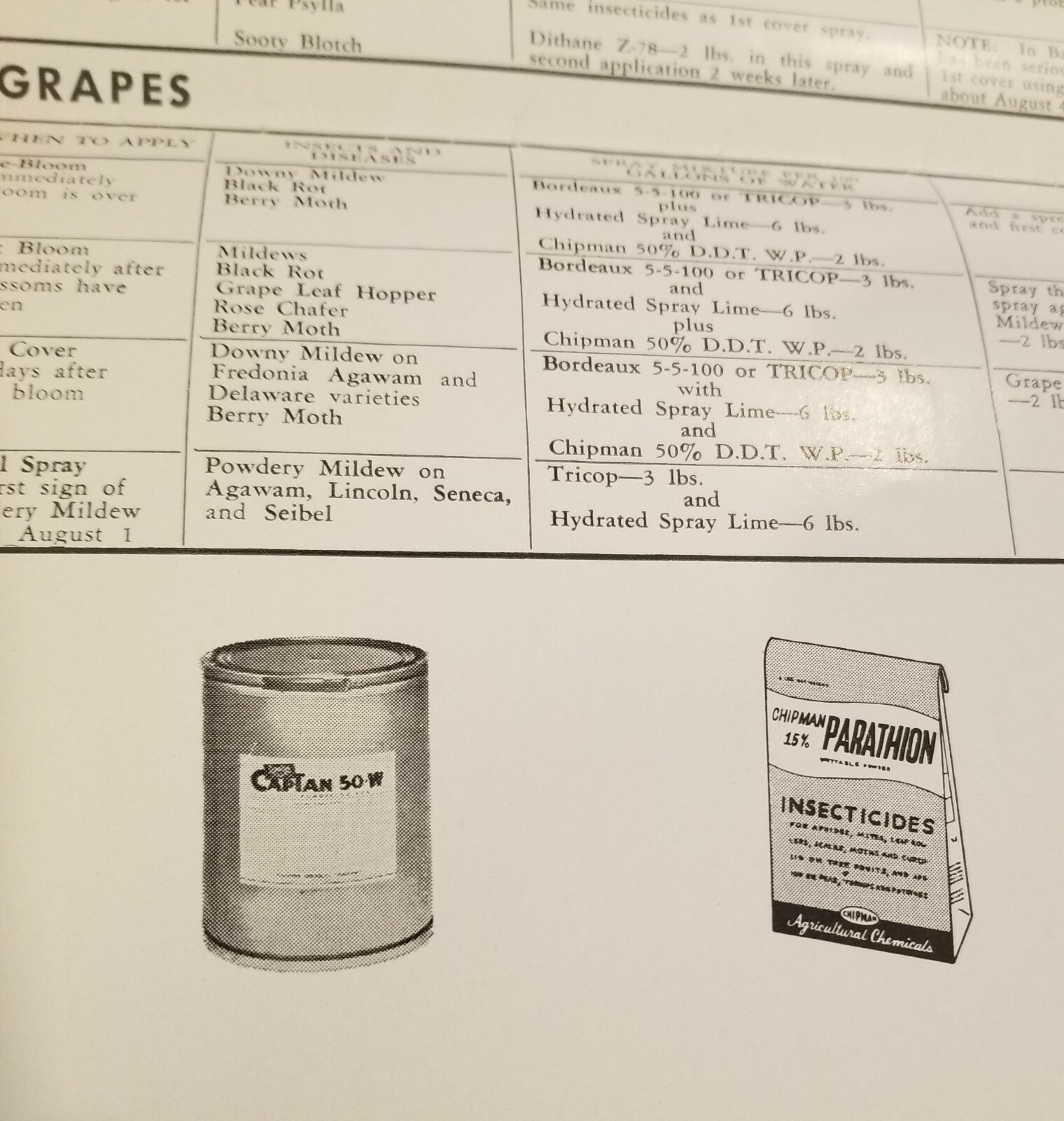 1961 Agriculture Ontario Fruit Spray Chart Chipman Chemicals Orchard E2J