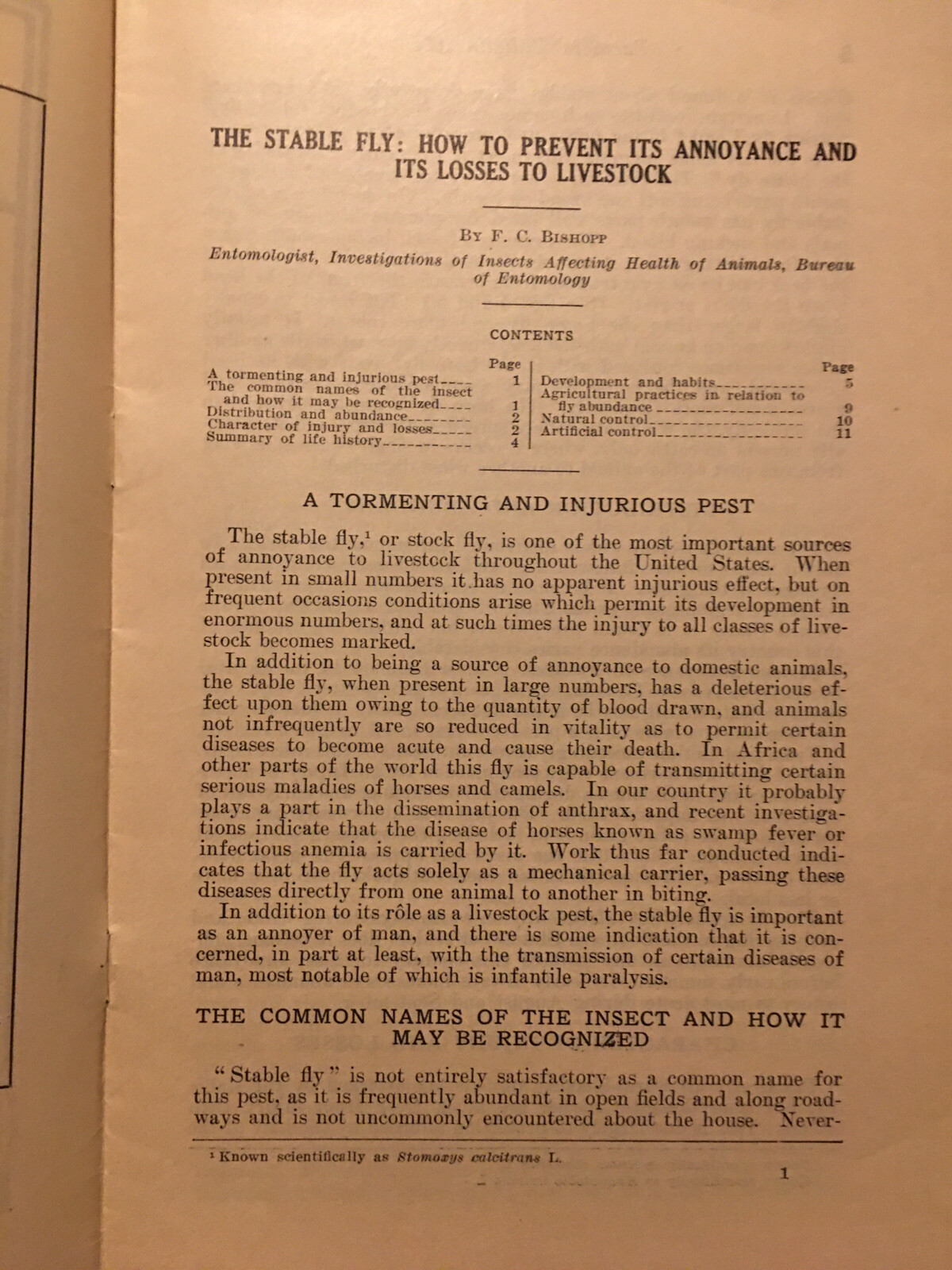 Farmers Bulletin US Dept of Agriculture No 1097 The Stable Fly 1926 prevention