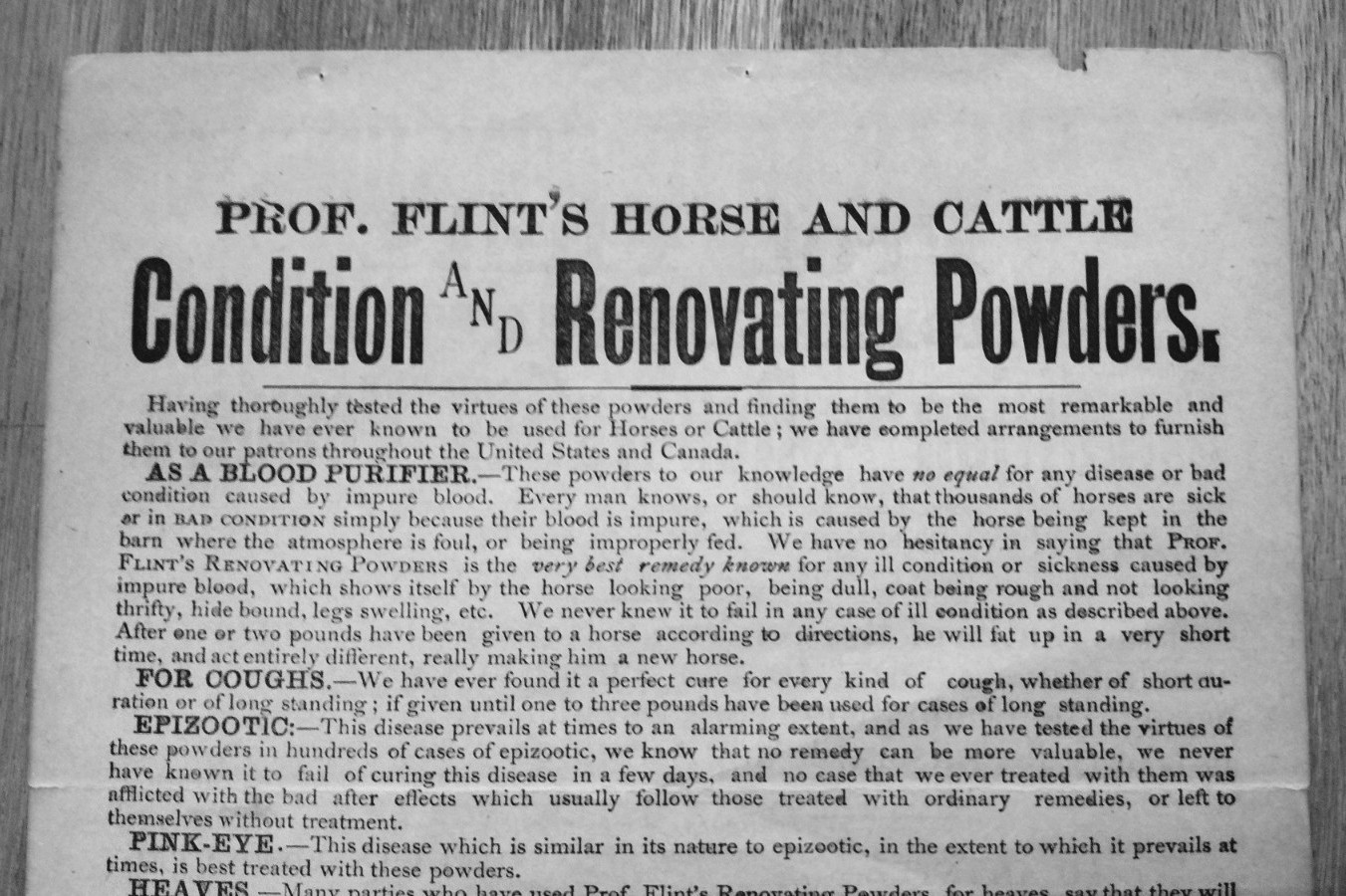 1893 Prof. Flint’s Horse and Cattle Powders 2 Sided Ad Enosburg Falls, VT