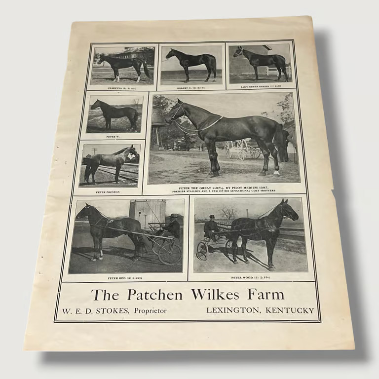 1909 The Patchen Wilkes Farm Lexington Kentucky Horses Vintage Ad V