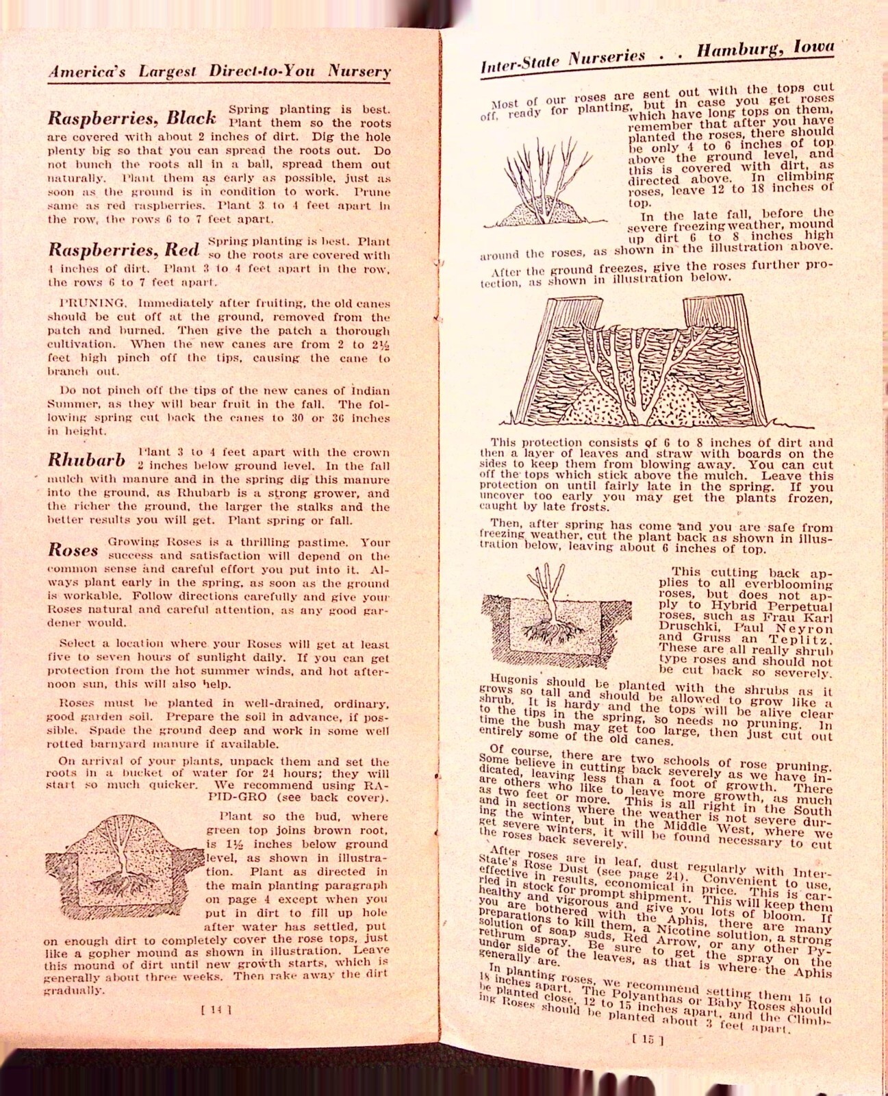 Interstate Planting Handbook Gardening Plant Brochure Inter-state Nursery Iowa