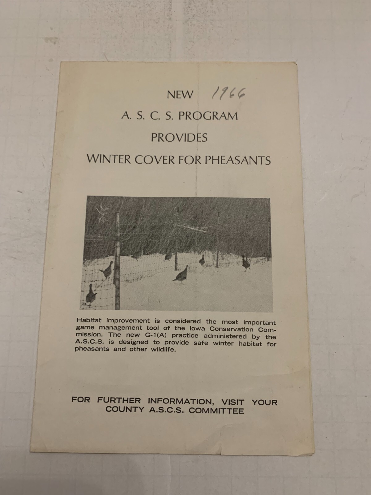 1966 ASCS Program Provides Winter Cover For Pheasants Iowa Conservation Brochure