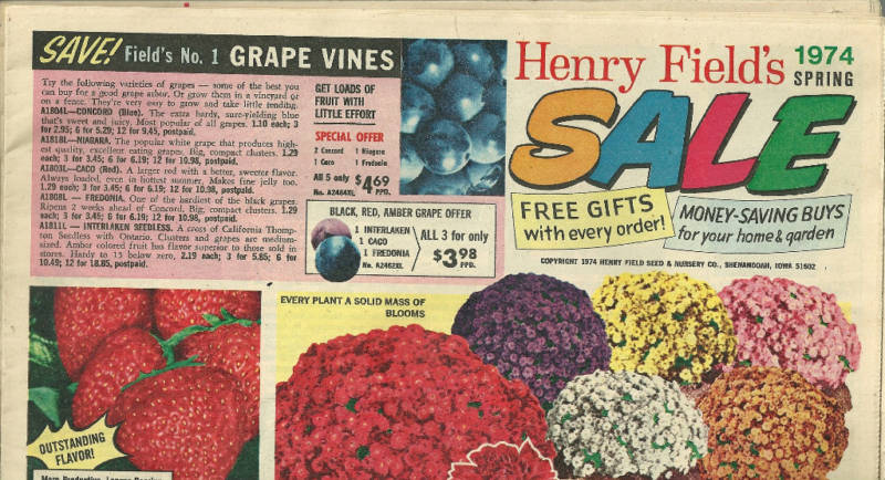 Henry Field’s Sale Flowers Catalog Spring 1974 Plants