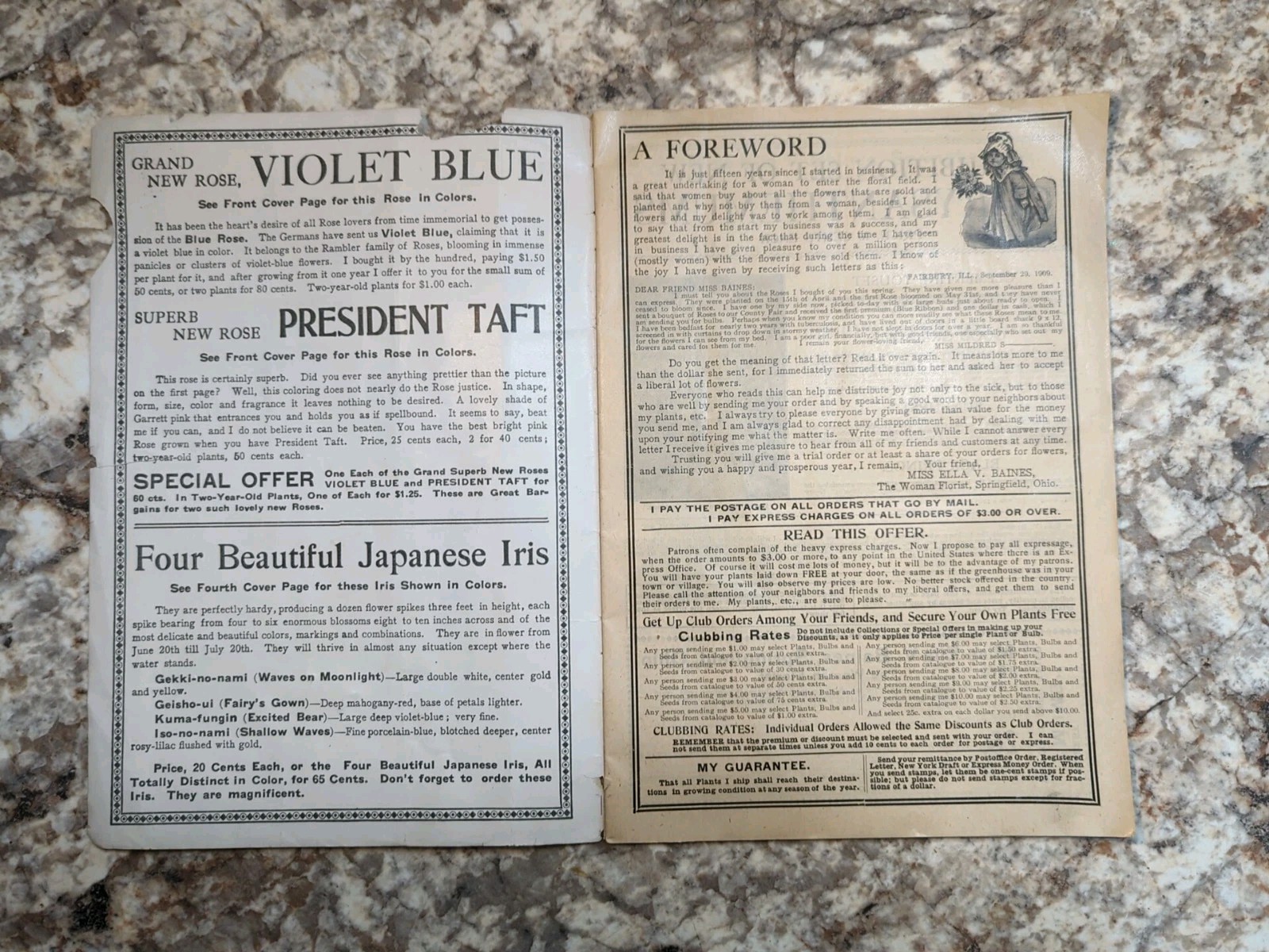 1910 The Woman Florist, Miss Ella V Baines Spring Illustrated Catalogue