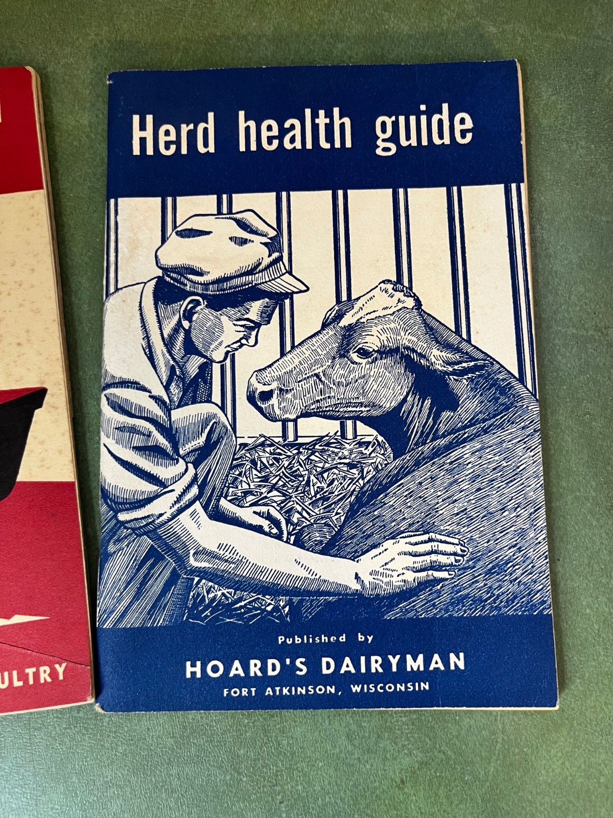 Vintage 1950’s Hoards Dairyman Handbook For Young Dairyman Feed & Health Guide