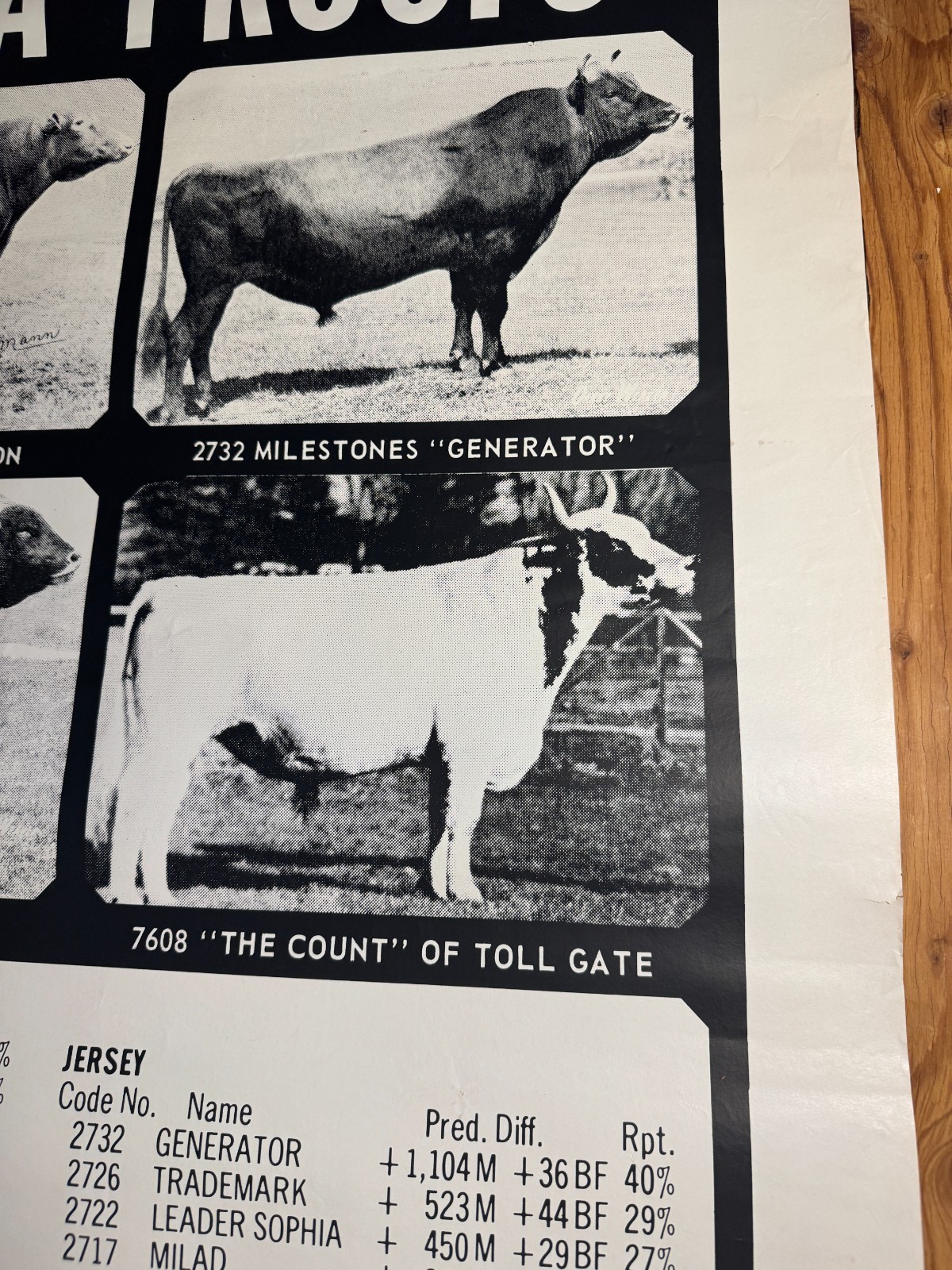 1970 TOP of the Lists The USDA Proofs ABS American Breeders Service Ad Poster
