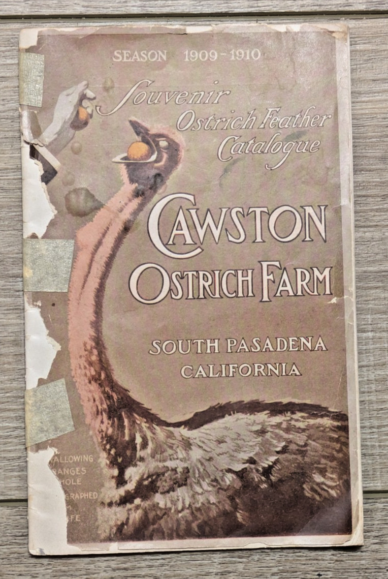 1909-1910 Cawston Ostrich Farm Feather Catalogue South Pasadena CA W/Photos