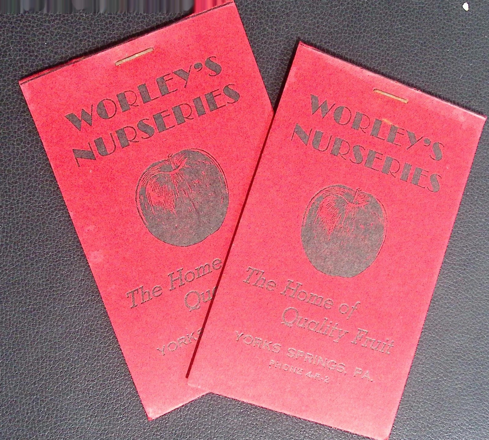 Vintage Worleys Nurseries York Springs PA Red Apple Special Tree Order Packet