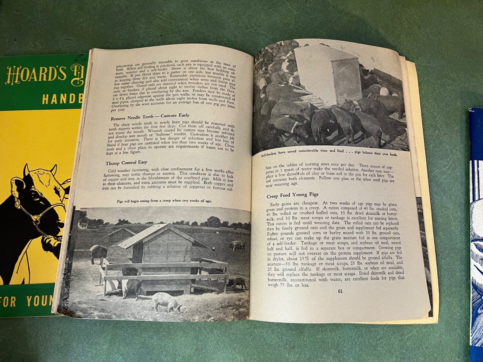 Vintage 1950’s Hoards Dairyman Handbook For Young Dairyman Feed & Health Guide