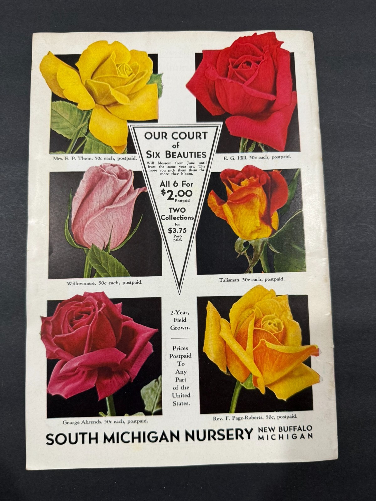 1934-39 Townsend’s & South Michigan Fruit, Flowers, Seed Brochures…..2 Items