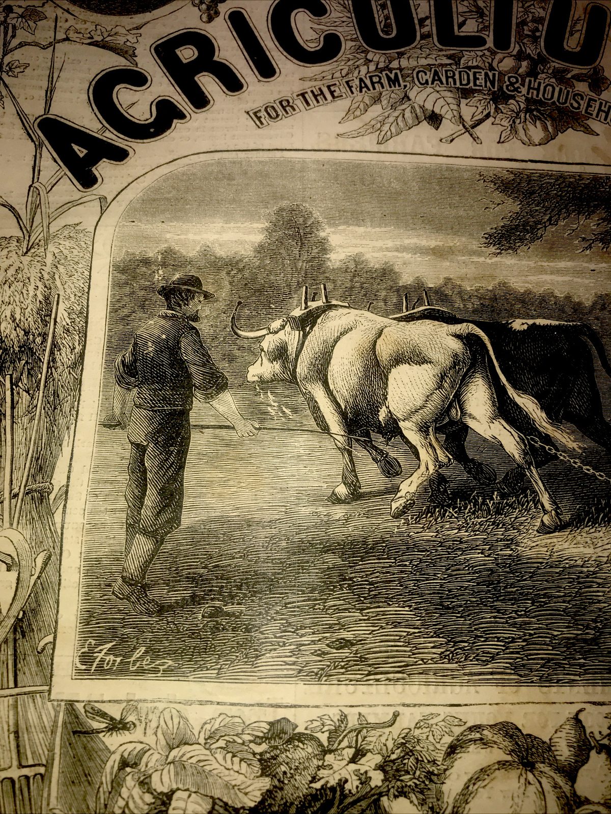 ORIGINAL 1872 Settler Farm Engraving Advertising