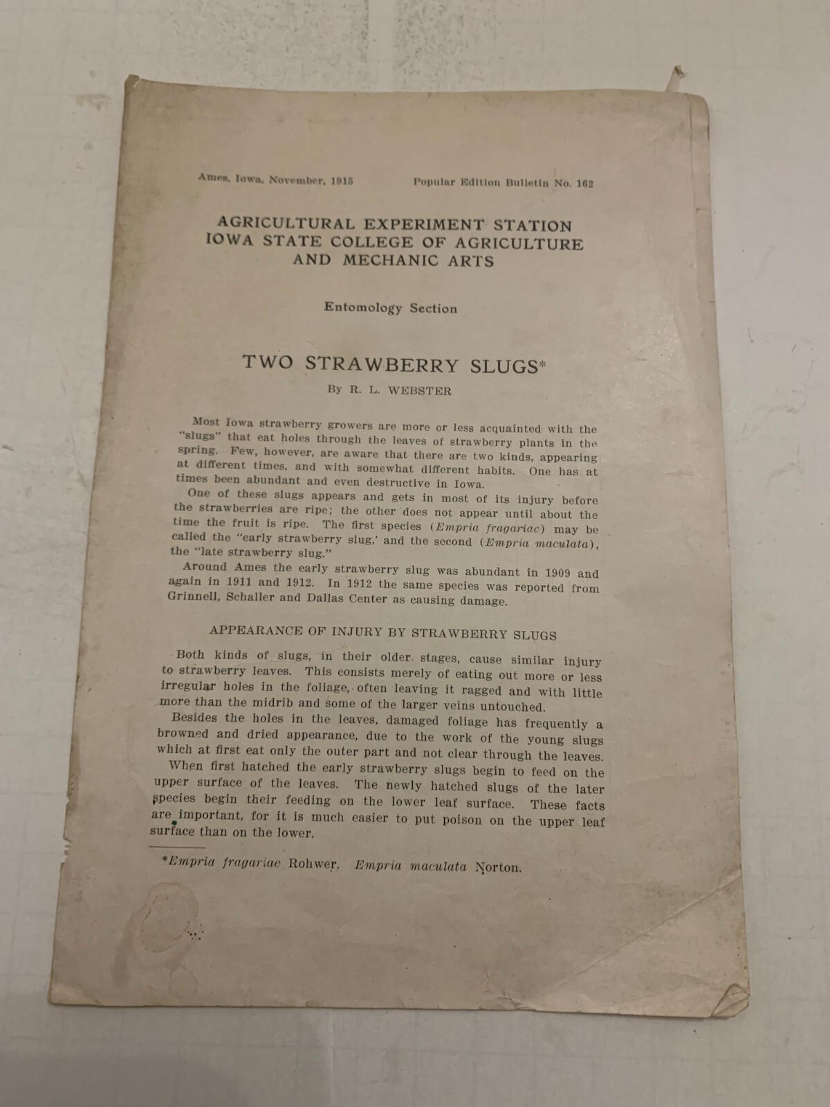 1915 Two Strawberry Slugs Booklet by Iowa State College Agriculture