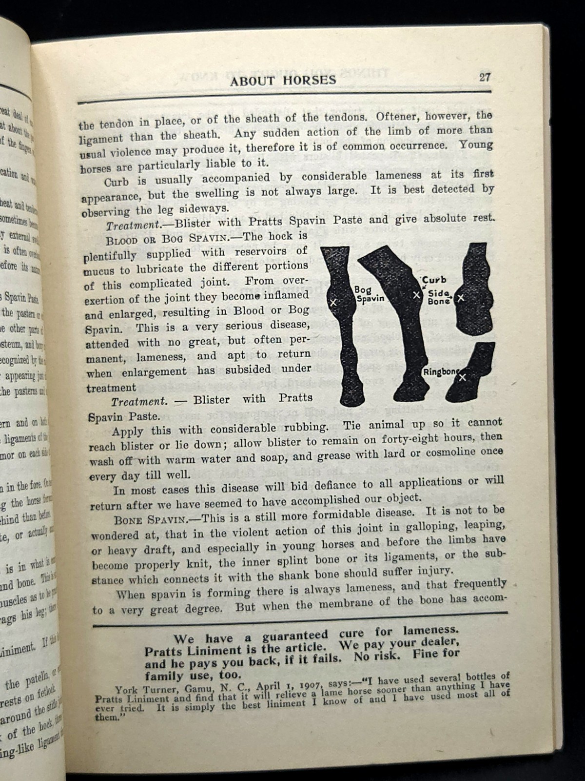 Pratt’s Agricultural Farm Animal Feed Book on Raising Horses Cows & Hogs c.1911