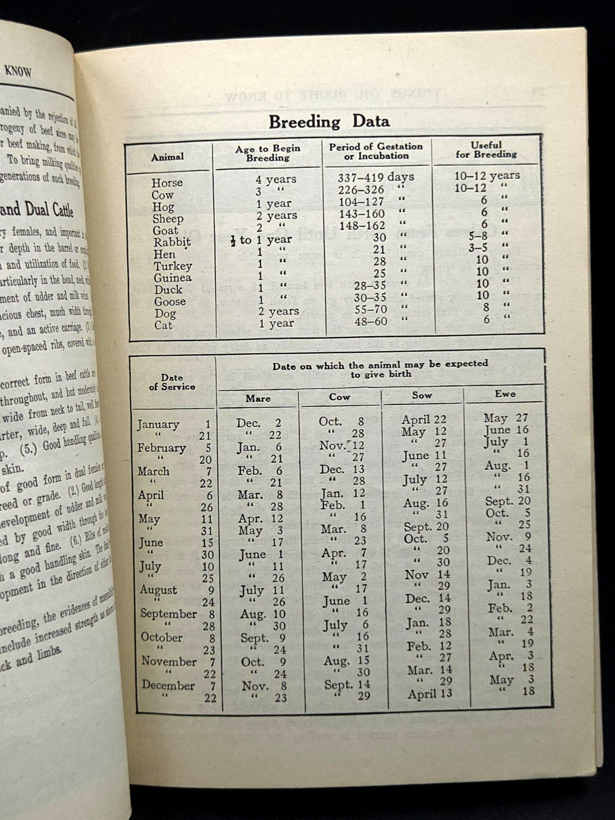 Pratt’s Agricultural Farm Animal Feed Book on Raising Horses Cows & Hogs c.1911