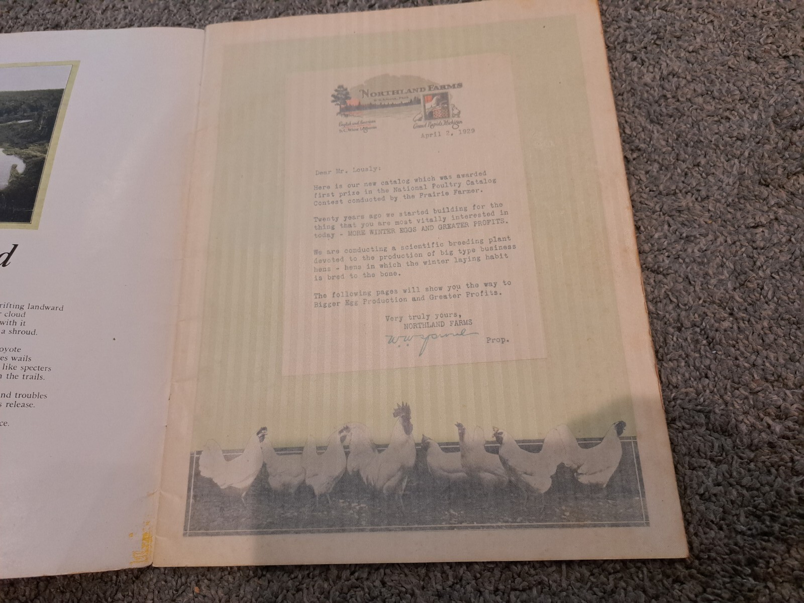 1928 Northland Winter Layers Poultry Catalog Chickens