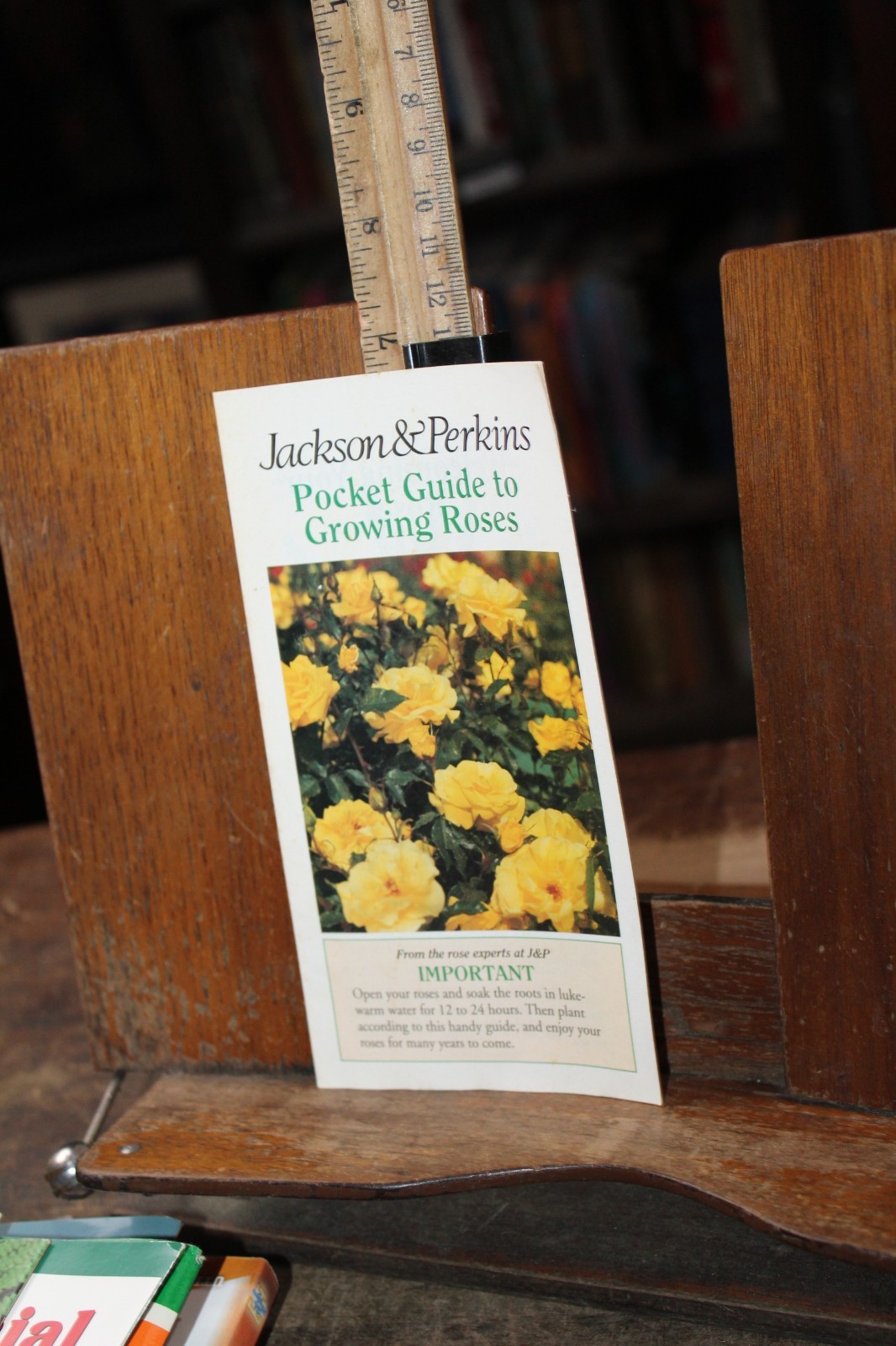 Vintage Gardening Brochure 1990’s Jackson & Perkins