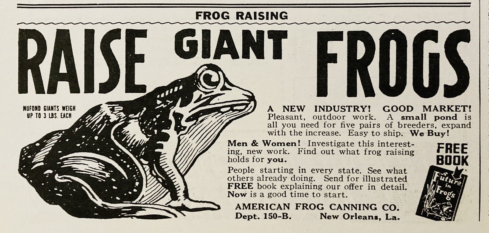 1937 AD.(XH75)~AMERICAN FROG CANNING CO. NEW ORLEANS, LA. RAISE GIANT FROGS