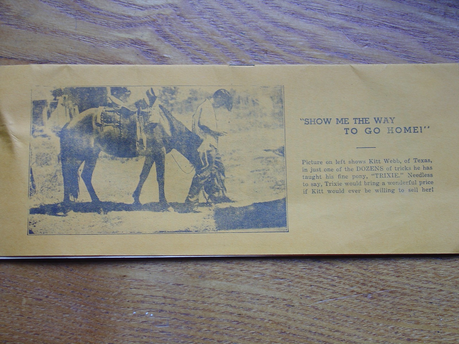 Vintage Antique Advertising Trick Horse Training Brochure Pamphlet Ornery Horses