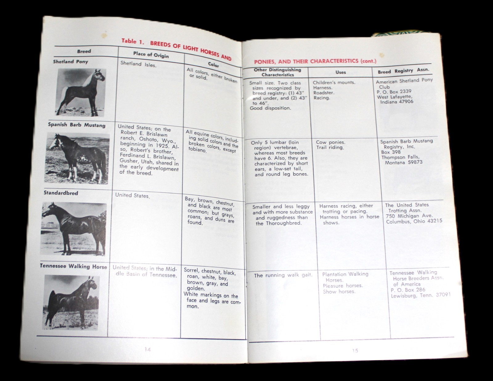 CARNATION COMPANY LIVESTOCK HORSES MANAGEMENT PROGRAM BOOKLET VINTAGE