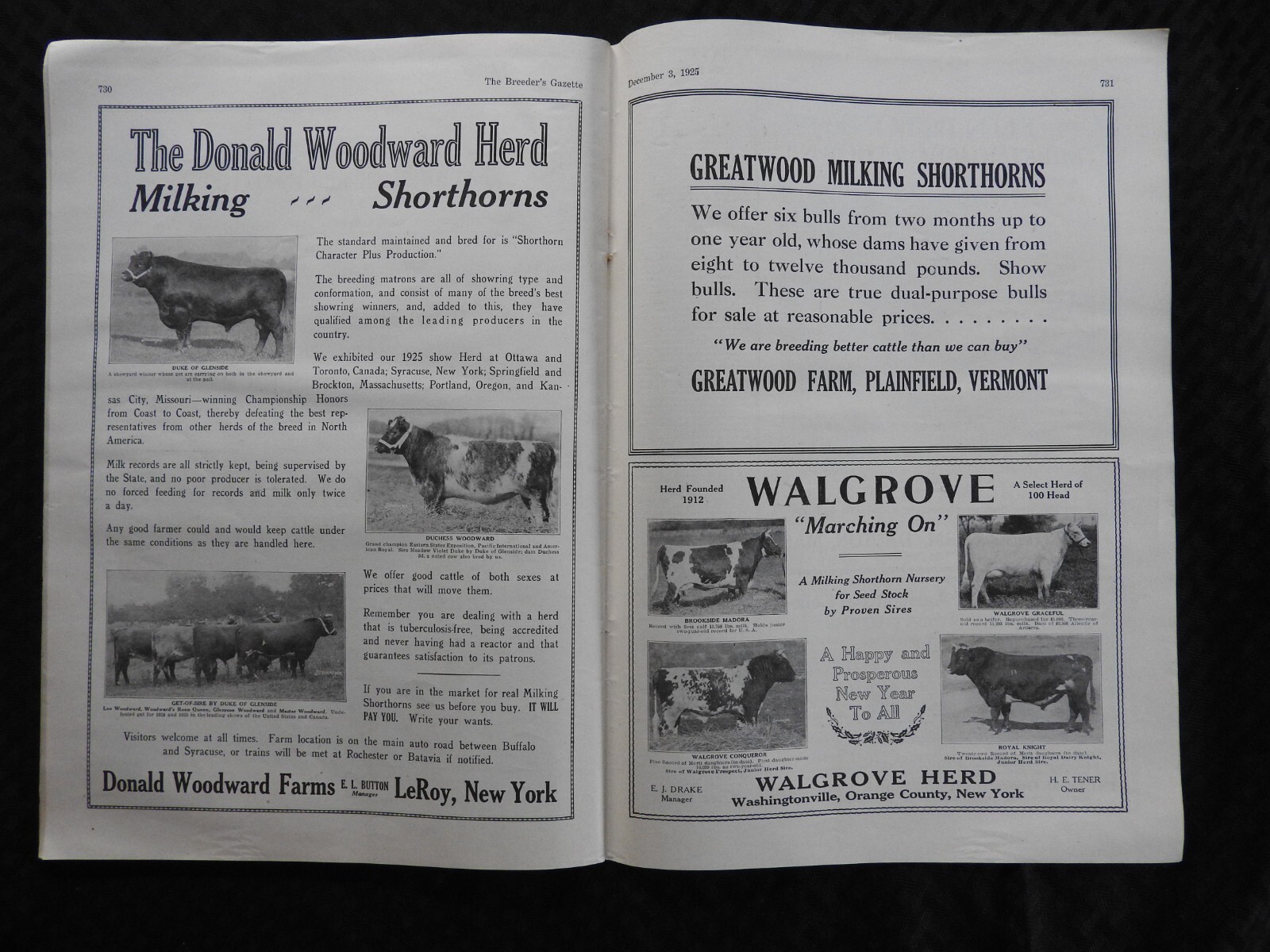 1925 Breeder’s Gazette Magazine – cattle rancher farmer horse show VERY GOOD