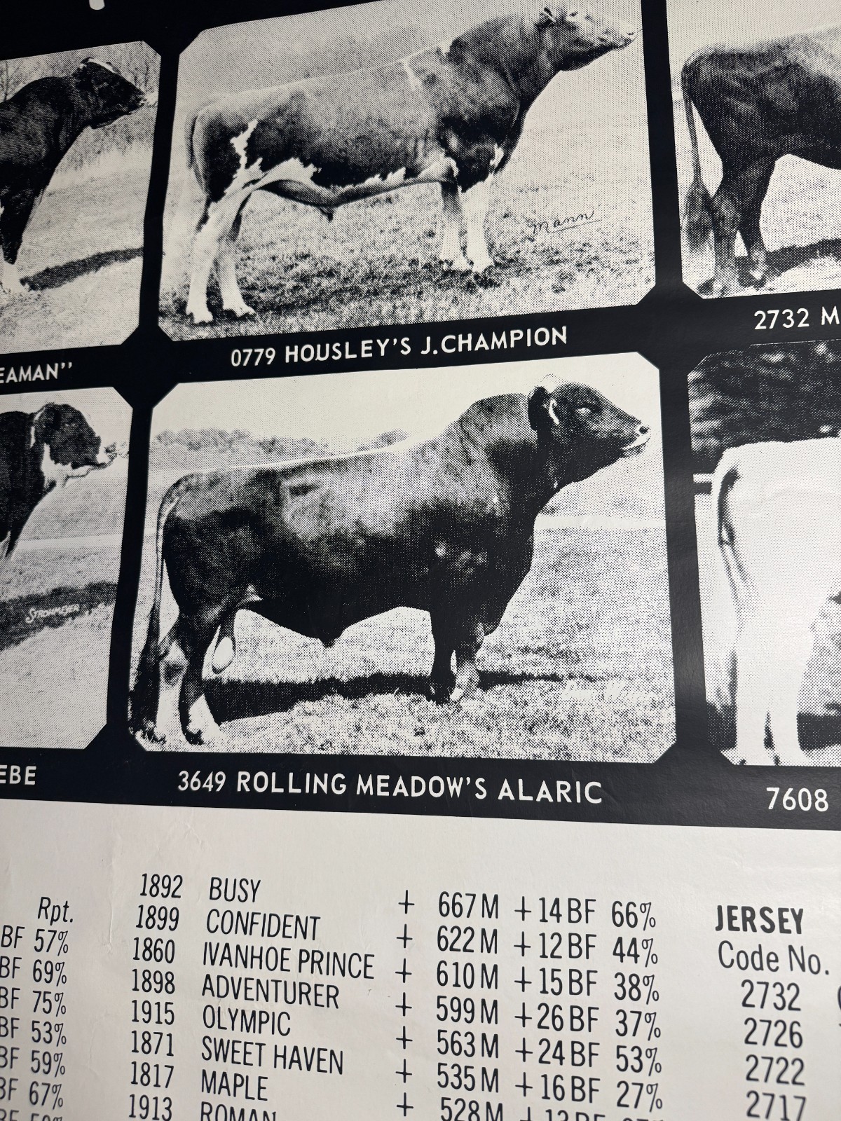 1970 TOP of the Lists The USDA Proofs ABS American Breeders Service Ad Poster