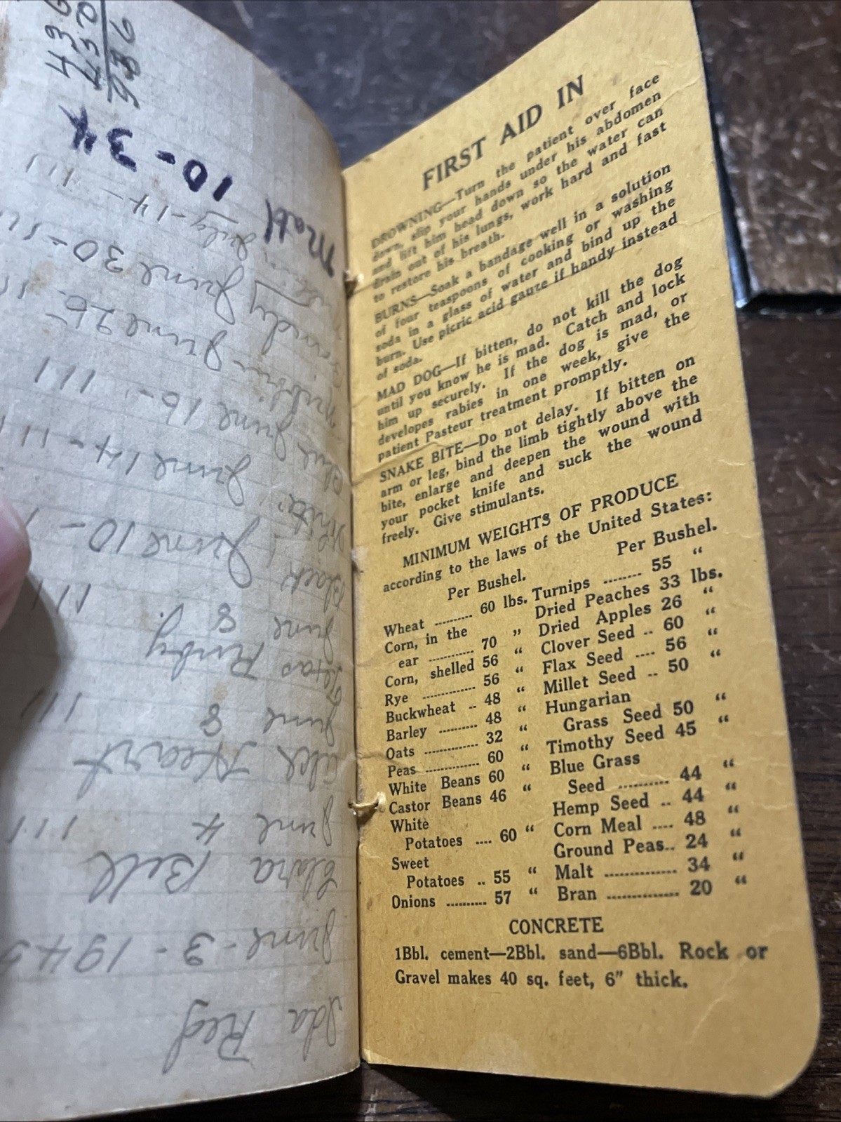 1928-29 BULLS EYE OVERALLS Pocket Ledger TULLAHOMA TENNESSEE OVERALL COMPANY