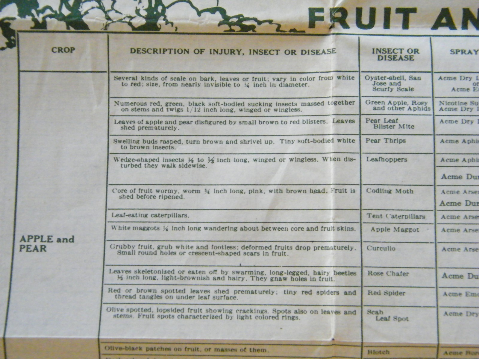 Vintage 1960’s-70’s Acme Spraying Dusting Guide For Gardens & Lawns Brochure