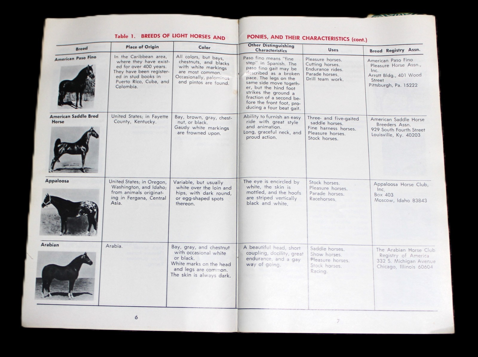CARNATION COMPANY LIVESTOCK HORSES MANAGEMENT PROGRAM BOOKLET VINTAGE