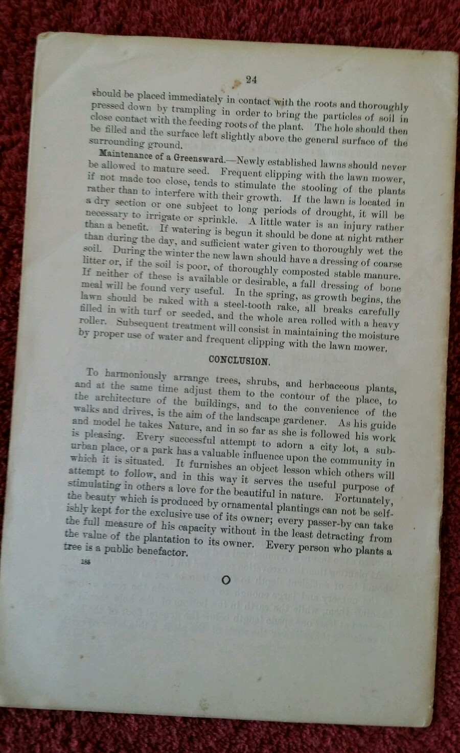 U.S. Department of Ag Vintage 1904 Farmers’ Bulletin #185 Beautify Home Grounds