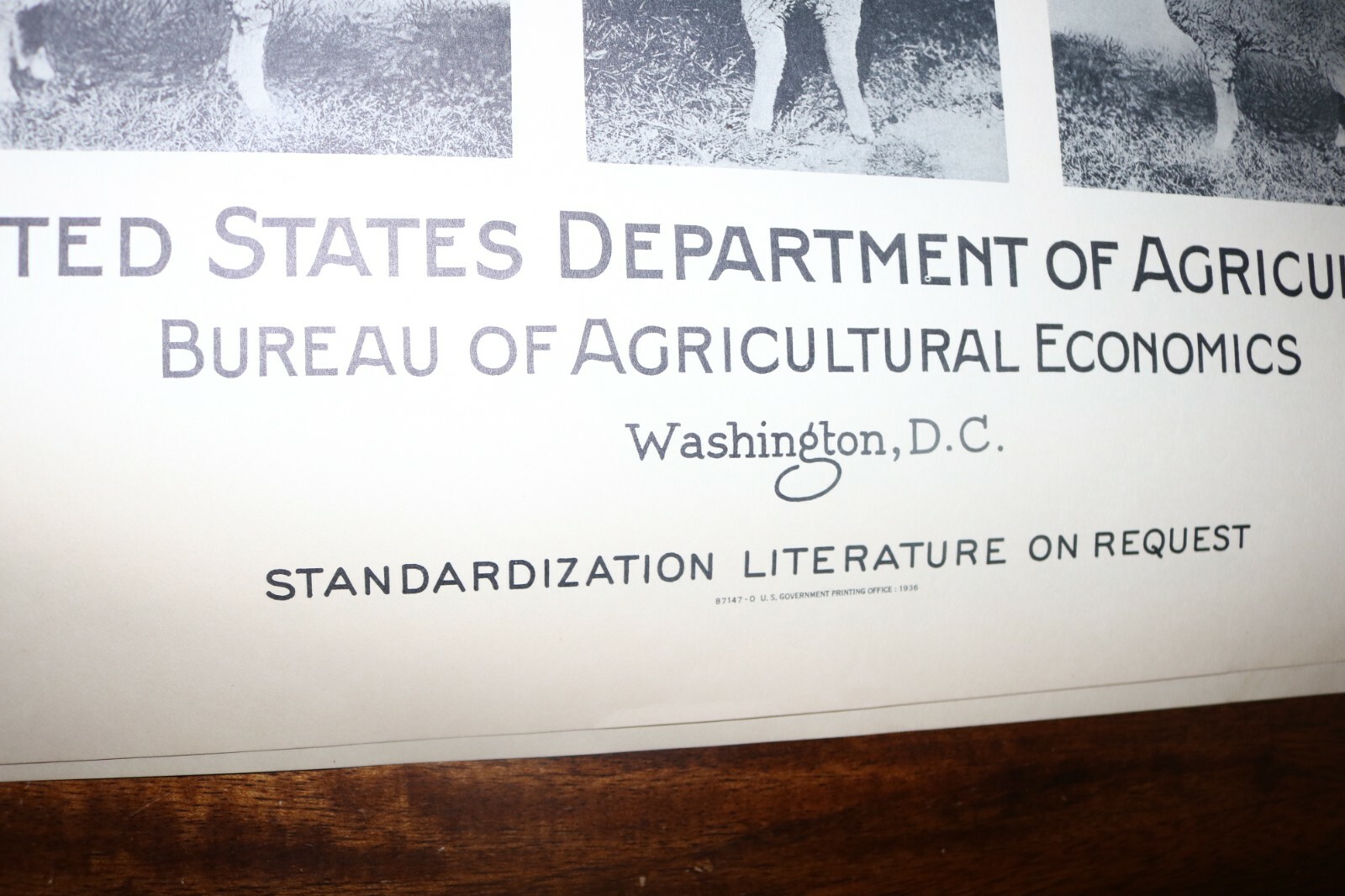RARE new old stock orig. 1936 Large USDA Lamb slaughter grade poster chart sign