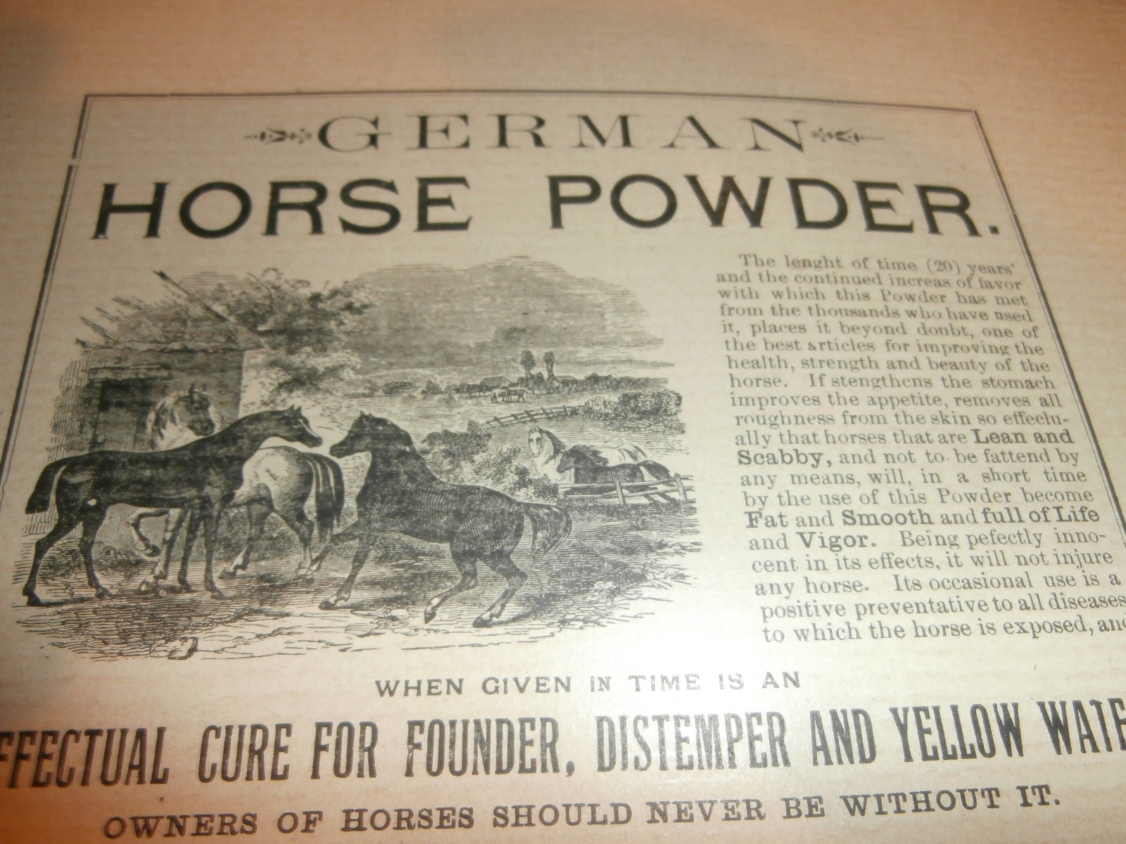 Harrisburg PA E Z Gross Drug Store German Horse Cattle Powder 1800’s Paper Ad