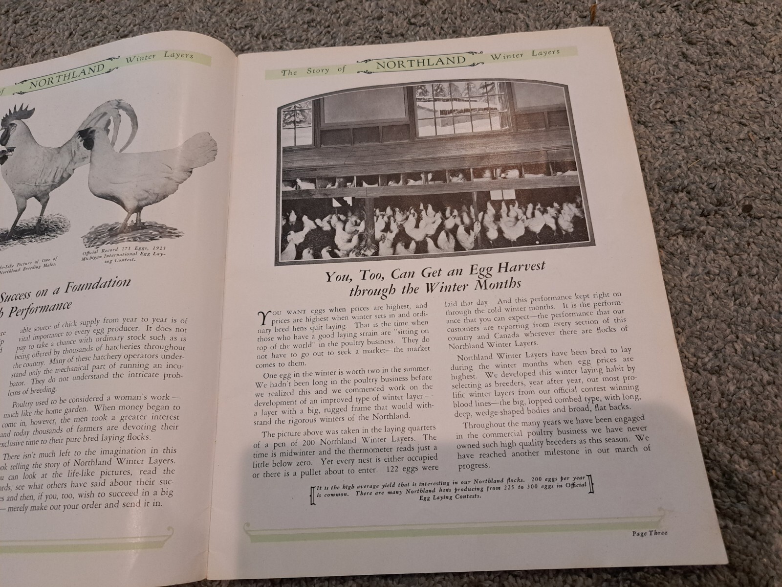 1928 Northland Winter Layers Poultry Catalog Chickens