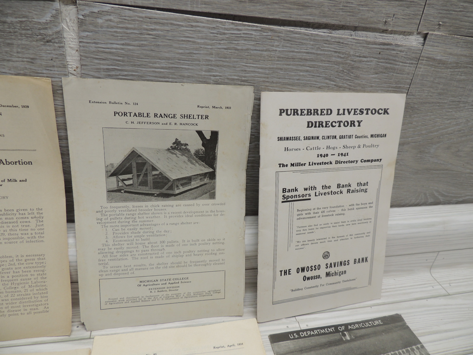 Lg Lot of Michigan State & USDA Bulletins 1920s-1930’s Plus Happy Chick Brochure