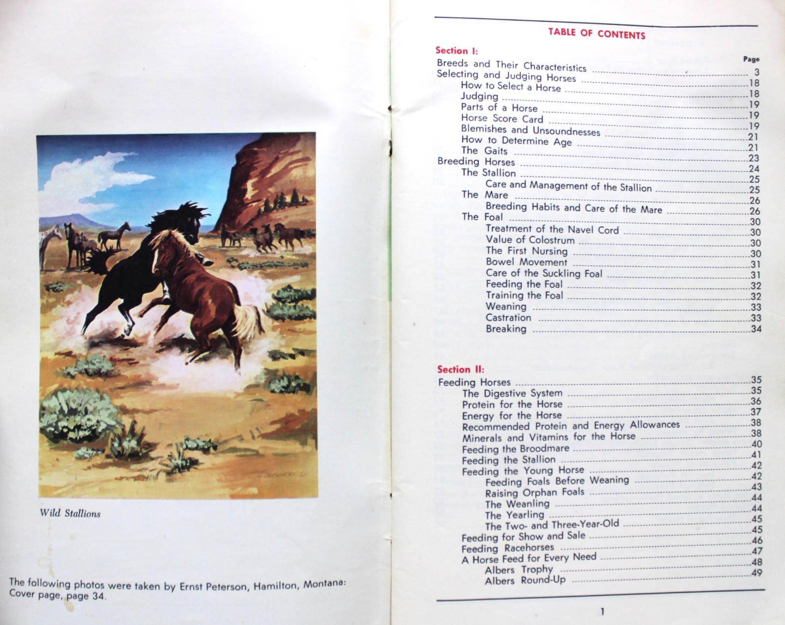 CARNATION COMPANY LIVESTOCK HORSES MANAGEMENT PROGRAM BOOKLET VINTAGE
