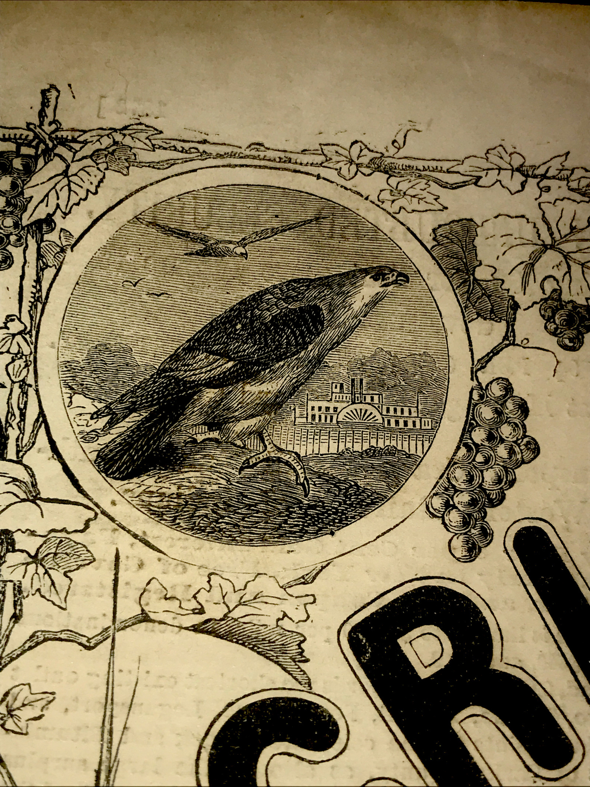 ORIGINAL 1872 Settler Farm Engraving Advertising