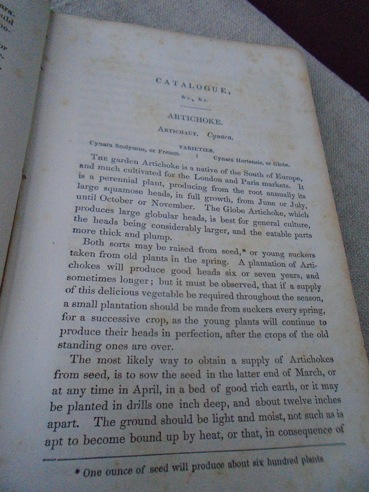 Rare 1857 Seed Catalogue Kitchen Gardner’s Instructor Thomas Bridgeman New Ed