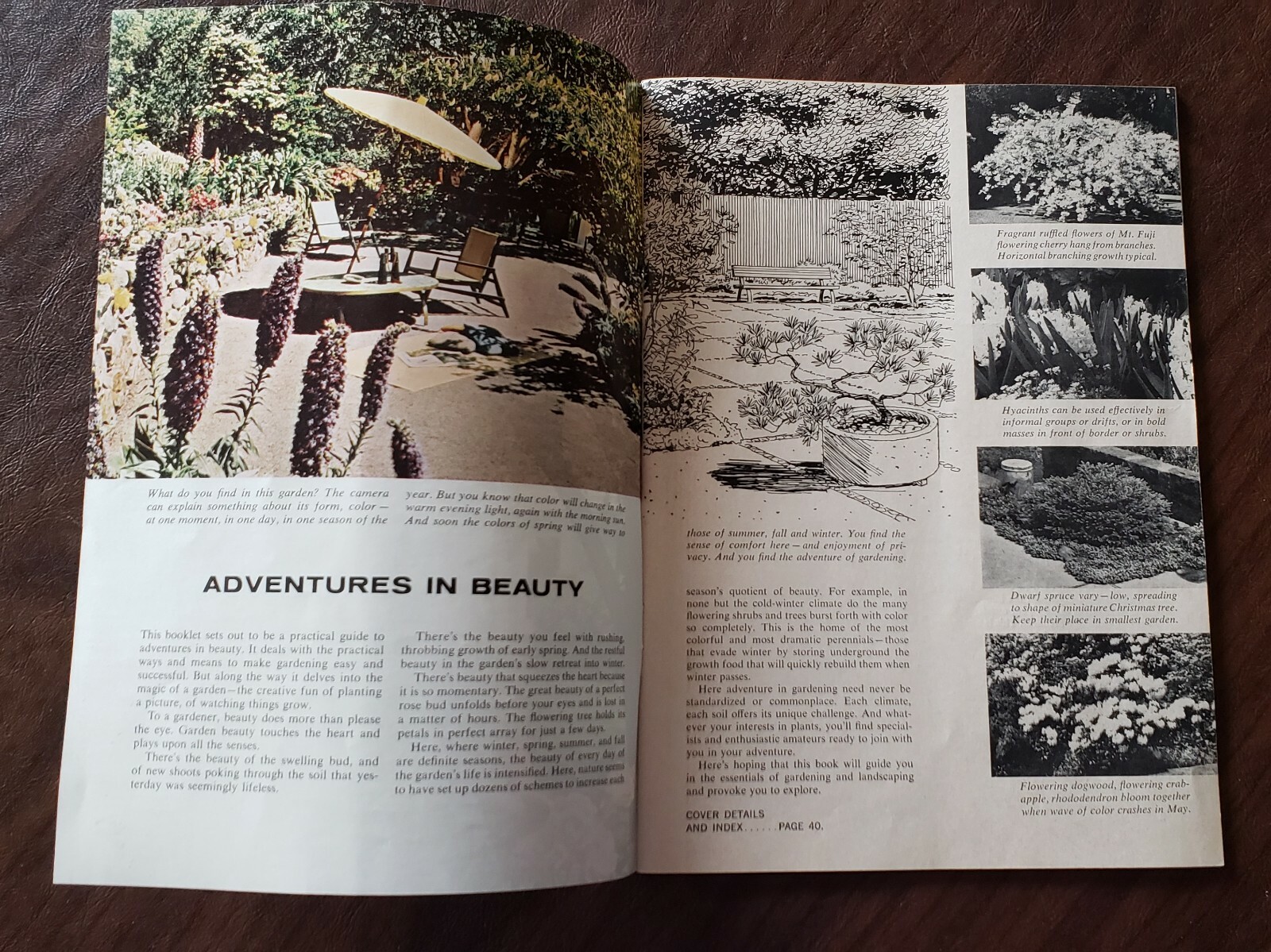 Vintage 1960’s &1970’s Chevron Ortho Lawn & Garden Booklets/Brochures Ads