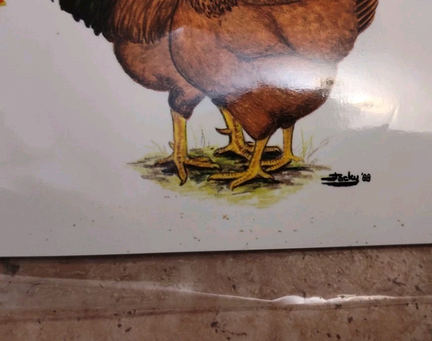 Vintage Ideal Poultry Breeding Farms Selection Chart Poster Sign Bantams 1990