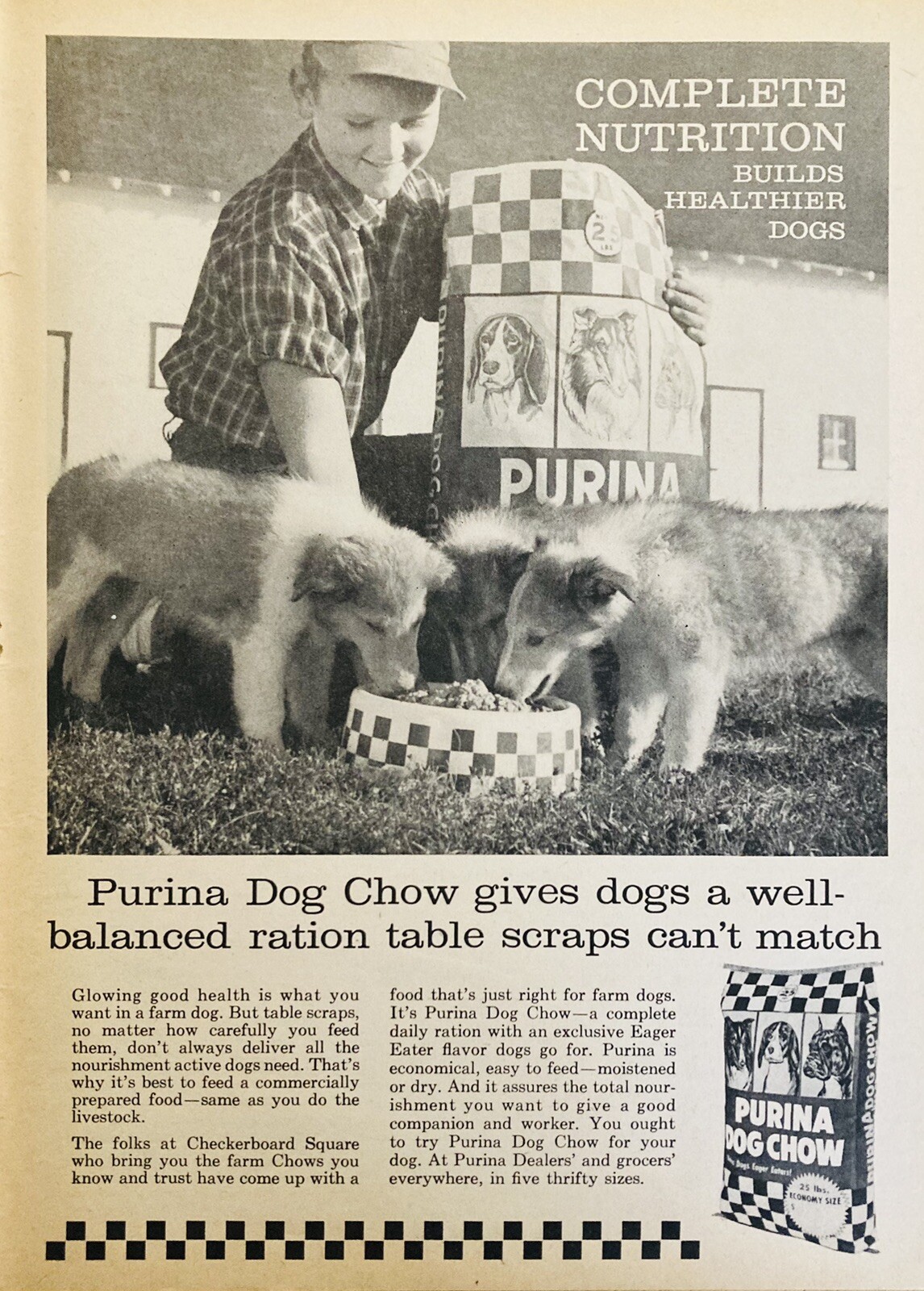 1961 AD.(XH76)~CHECKERBOARD SQUARE, PURINA DOG CHOW