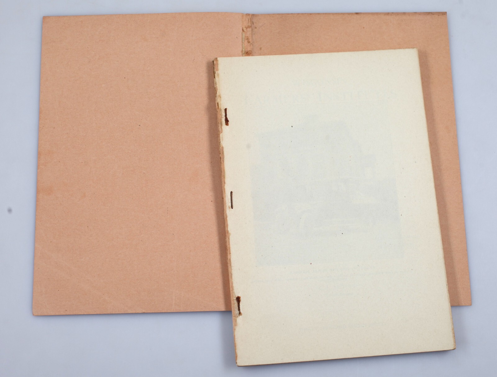 Vintage 1916 Wisconsin Farmer’s Institutes Bulletin Handbook of Agriculture