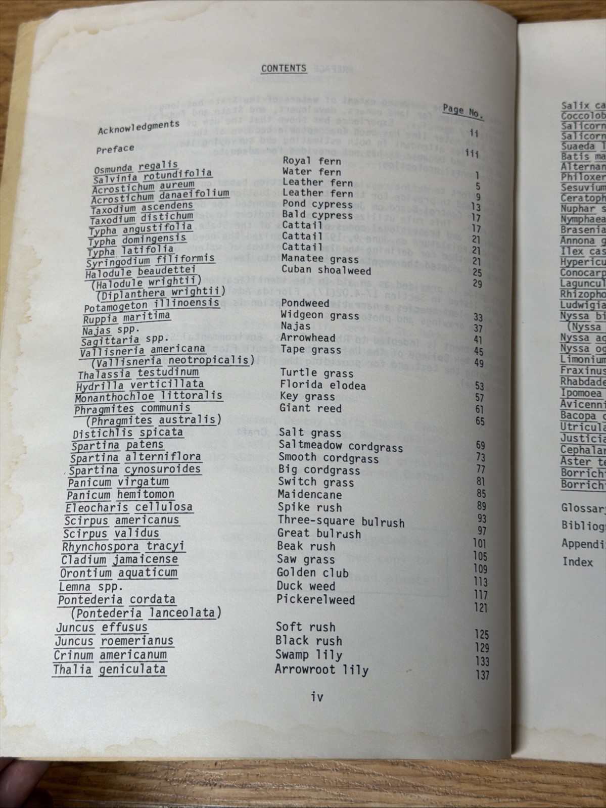 1979 State Of FL Dept Of Environmental Regulation Guide To Wetland Plants Manual